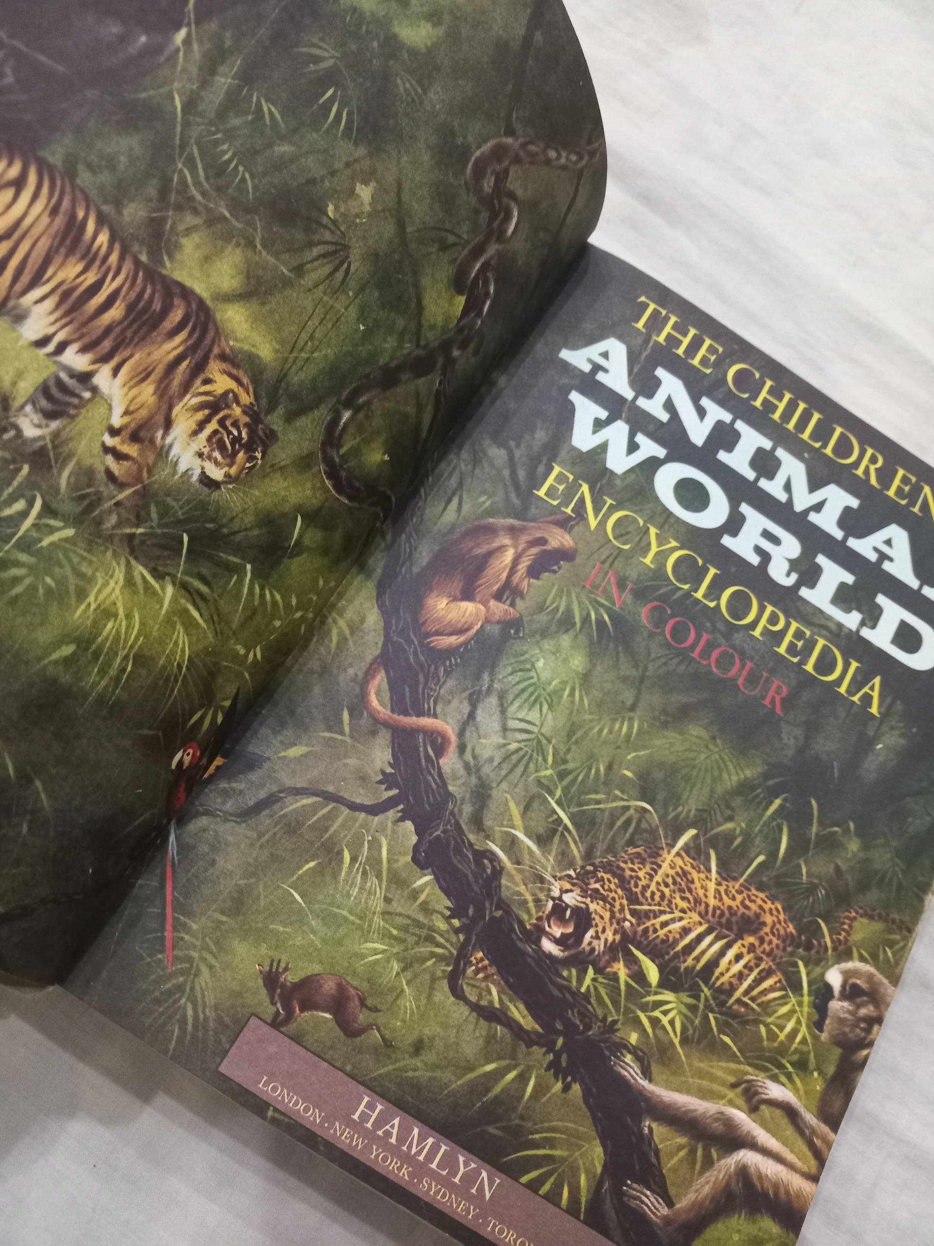 کتاب دنیای حیوانات animal world کودکان