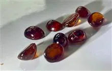 گارنت