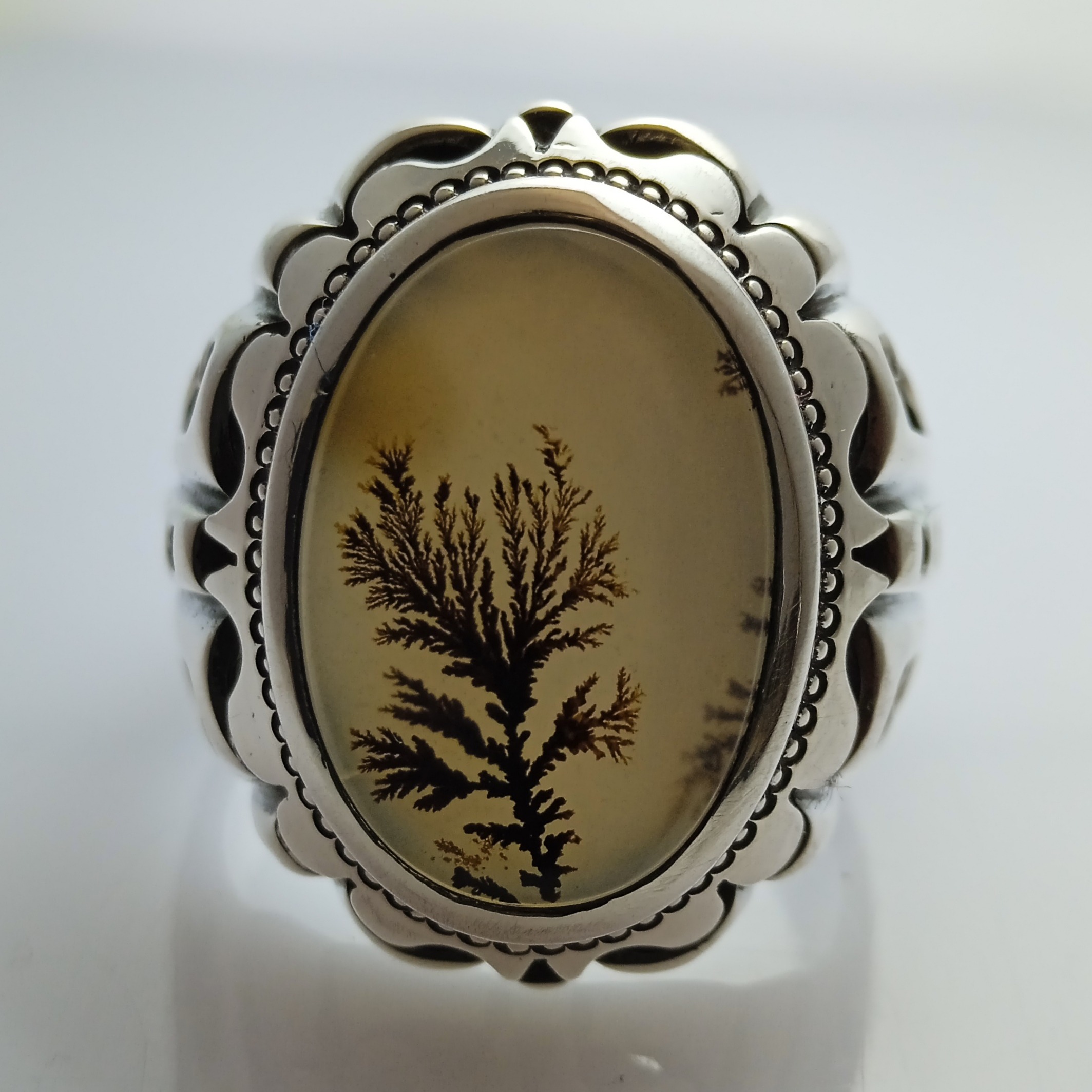 انگشتر شجر قائن