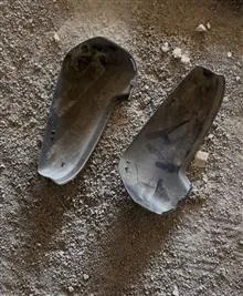 فلاپ