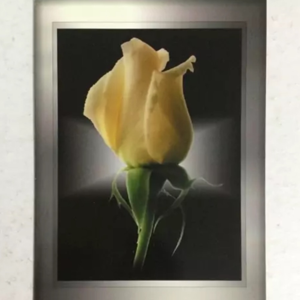 کارت پستال براق (14x19سانت) کد 02