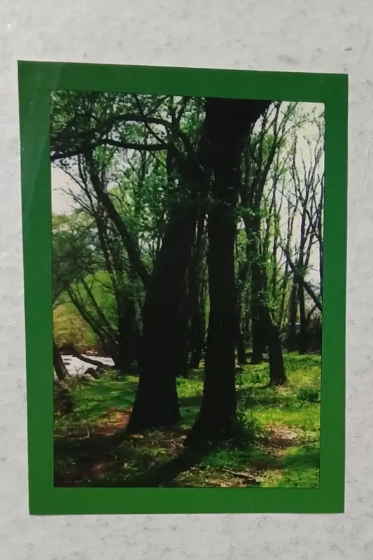کارت پستال برقی (14×10) سانت کد 04