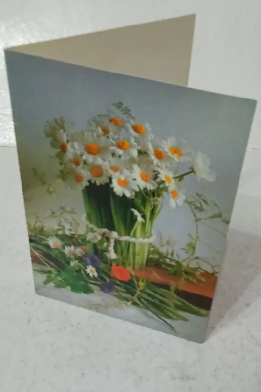 کارت پستال برقی دو برگی (19×13) سانت کد 11