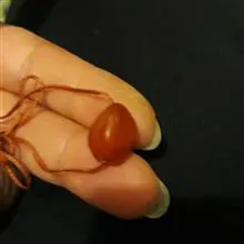 مهر