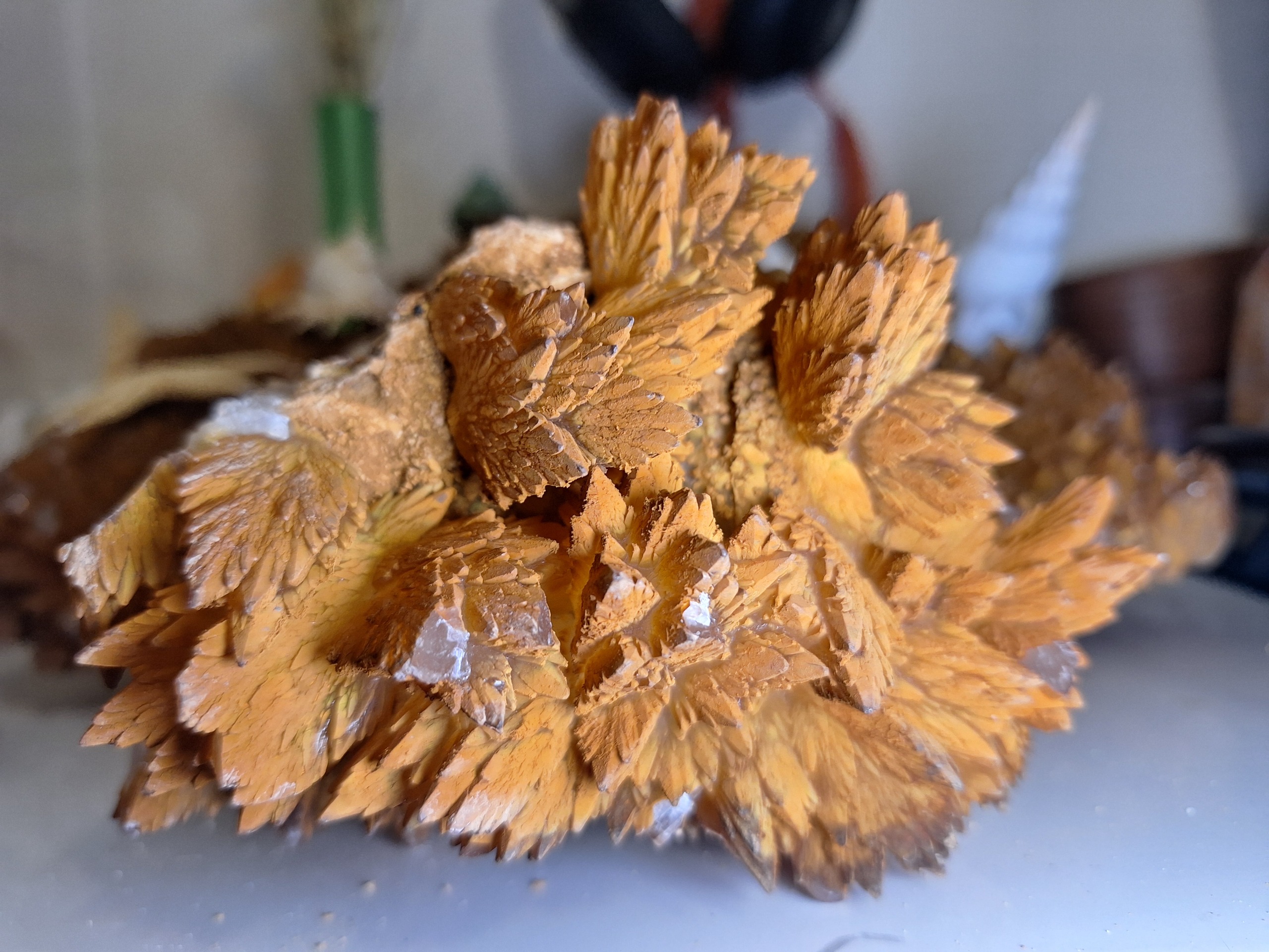 کلسیت فلاور پاپیونی