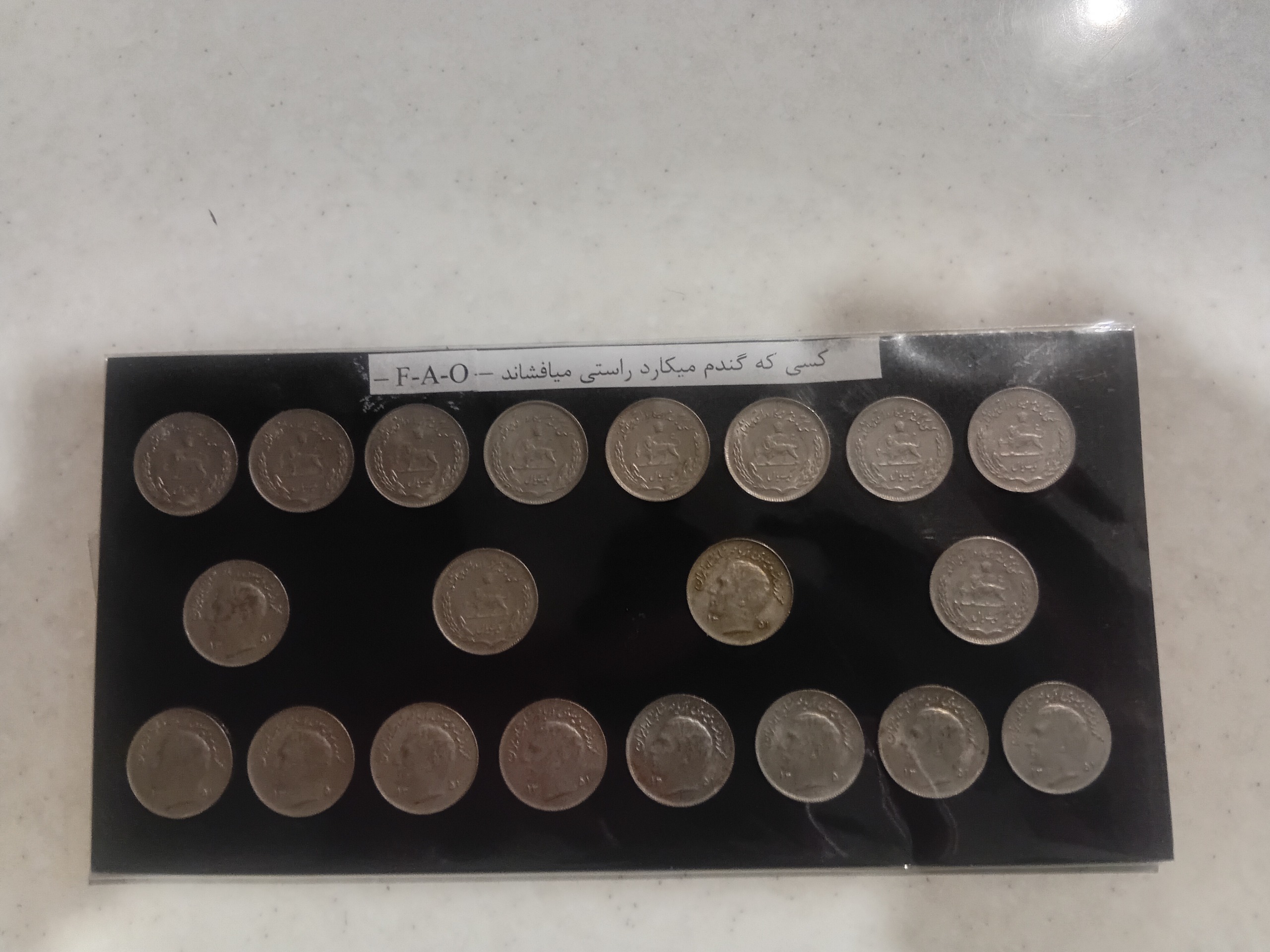 20عدد سکه 1ریال فائو پهلوی دوم (توضیح )