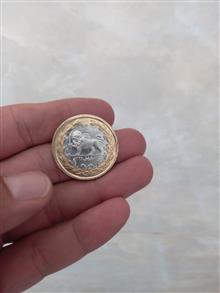 سکه