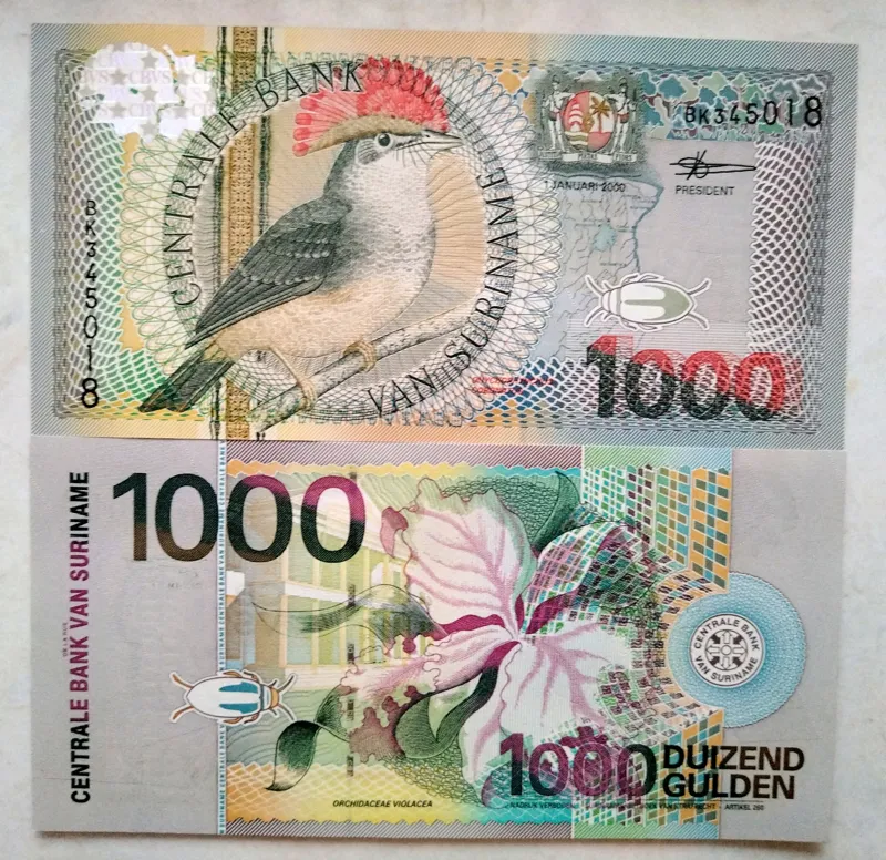 تک بسیار کمیاب سورینام