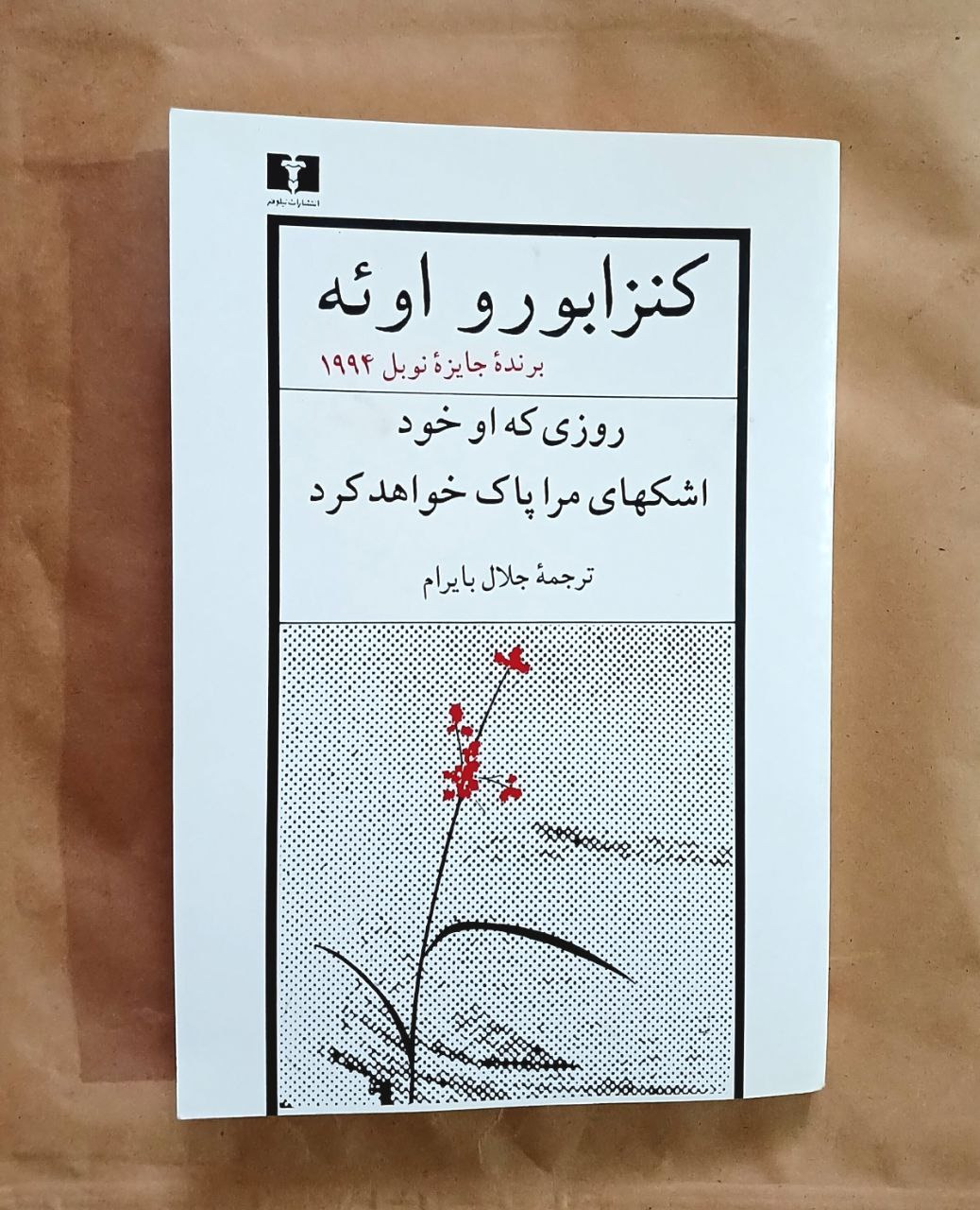 روزی که او خود اشک های مرا پاک خواهد کرد