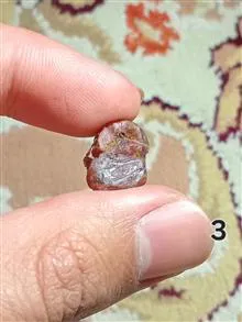 راف