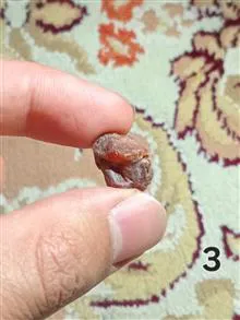 راف