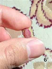 یاقوت