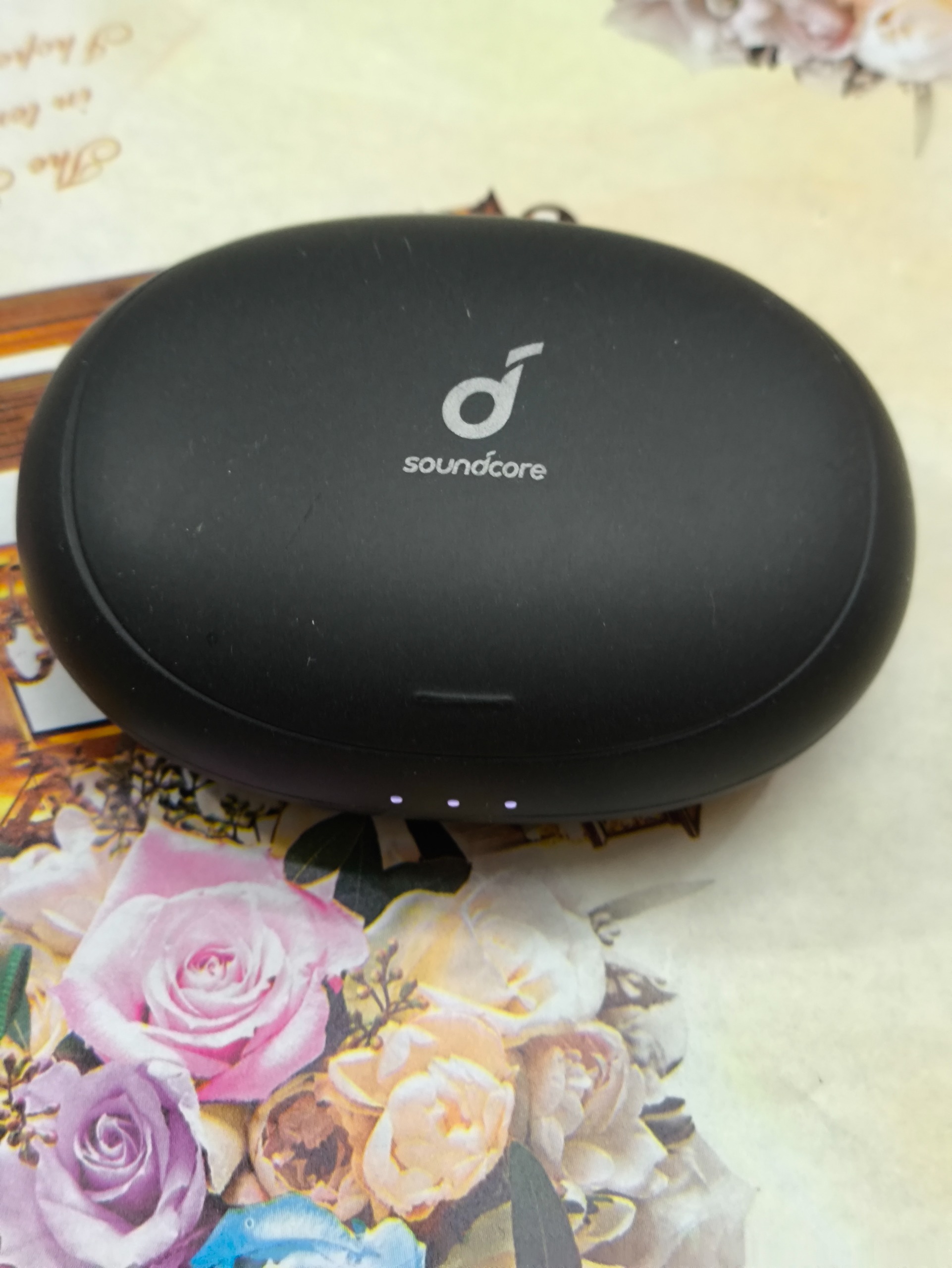 کیس شارژ هندزفری حرفه ای Liberty 2 Pro