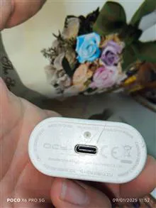 کیس