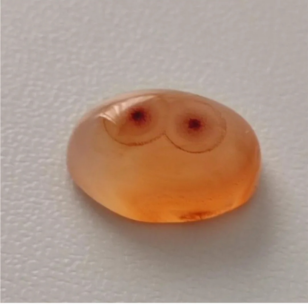 باباقوری دو چشم معدنی