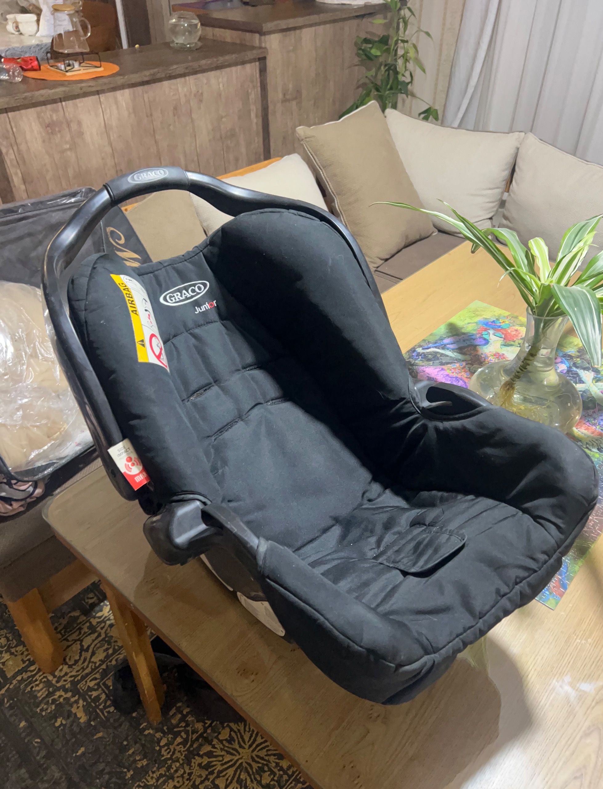 کریر برند گراکو امریکایی