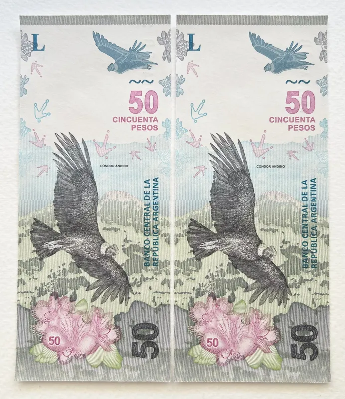 جفت اسکناس زیبا کمیاب خارجی 50 پزو آرژانتین (2018)