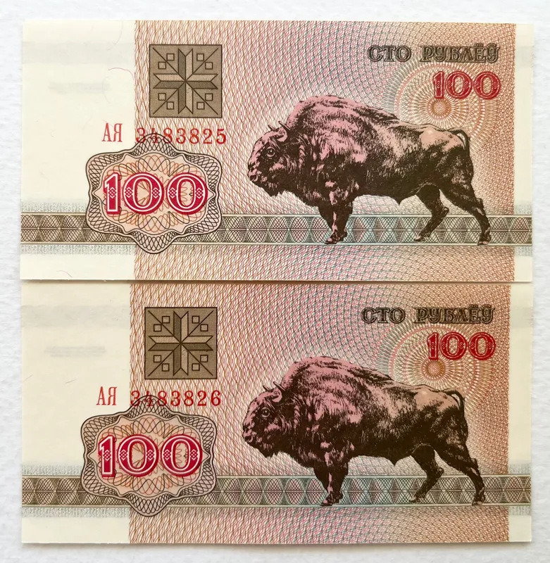 جفت اسکناس کمیاب خارجی 100 روبل بوفالو بلاروس