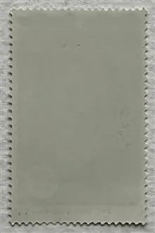تک