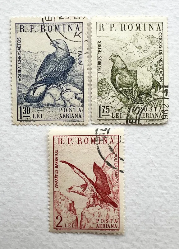 سری 3 عددی تمبر خارجی پرندگان کشور رومانی (1960)