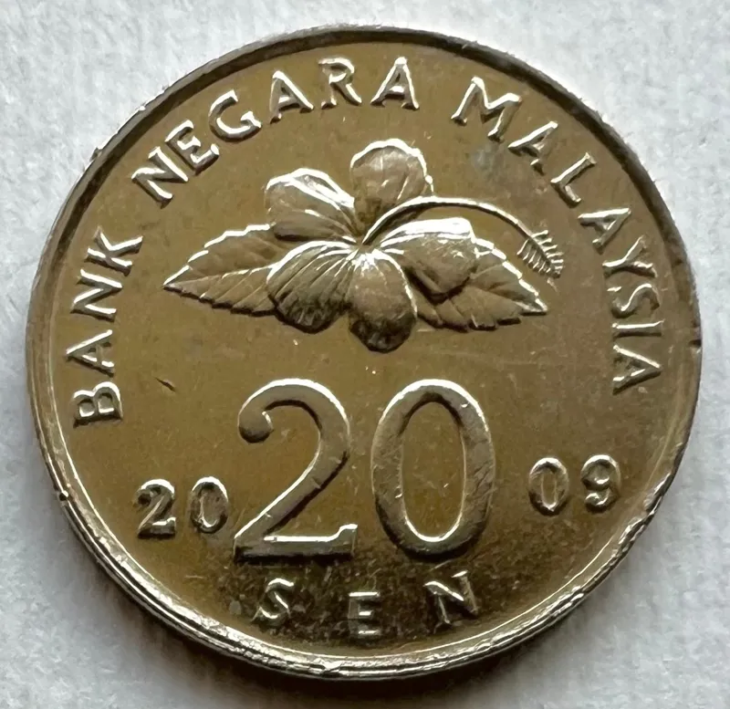 تک سکه کمیاب و ارزشمند خارجی 20 سن مالزی (2009)