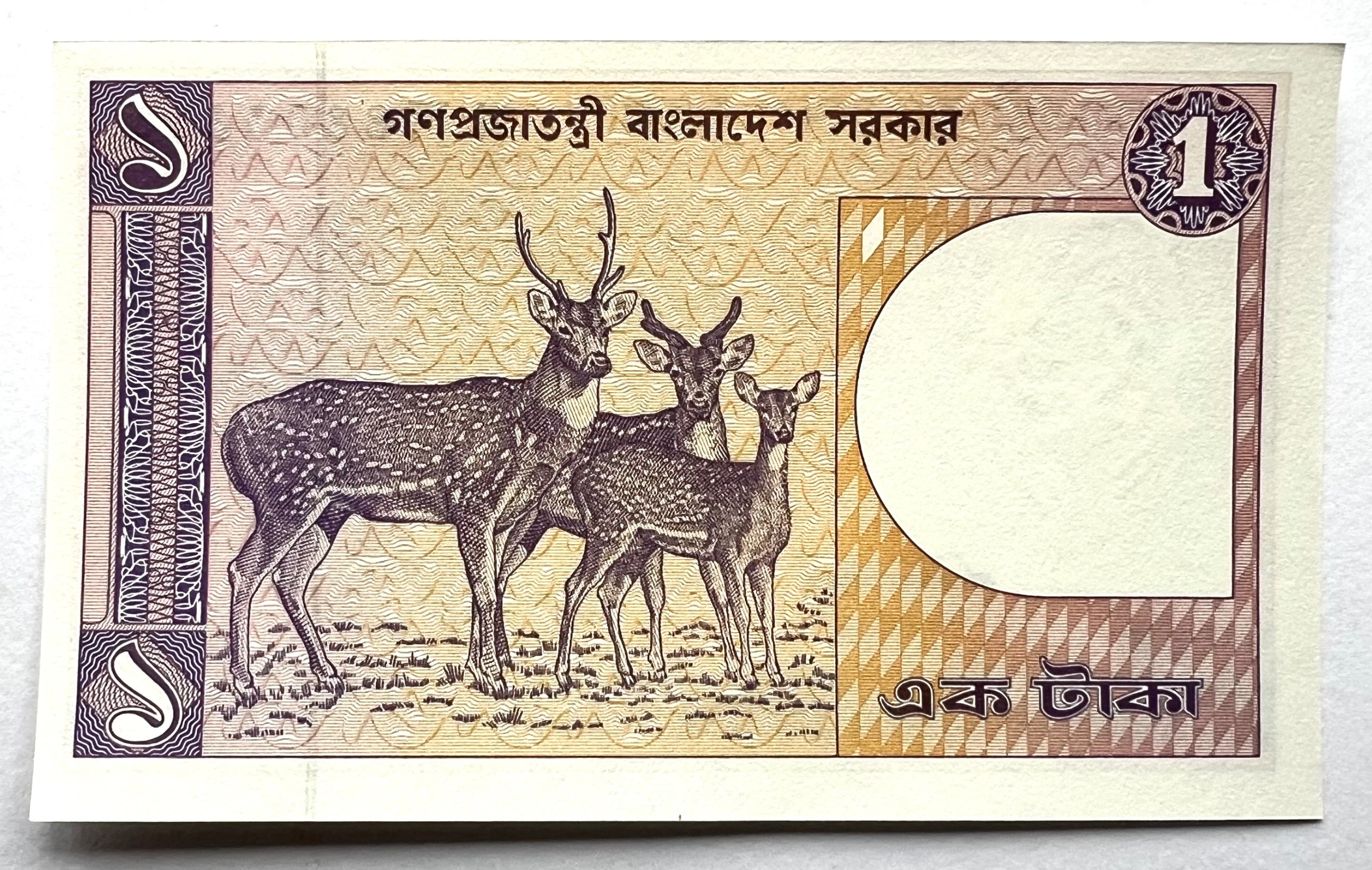 تک اسکناس نایاب خارجی 1 تاکا قدیم بنگلادش (بانکی)