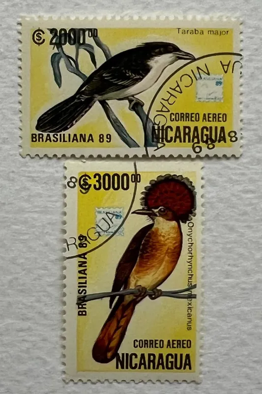 2 عدد تمبر زیبای خارجی پرندگان نیکاراگوئه (1989)