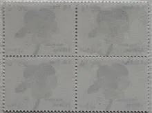 بلوک