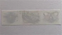 تمبر