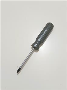 پیچگوشتی