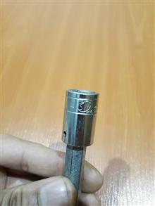 پیچگوشتی