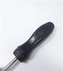 پیچگوشتی