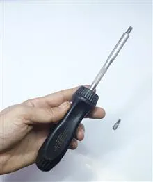 پیچگوشتی
