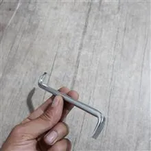 پیچگوشتی