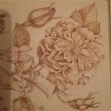 نقاشی