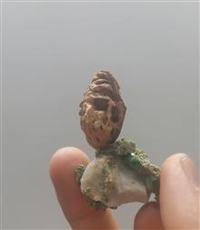 مجسمه
