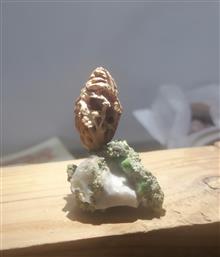 مجسمه