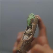 سازه