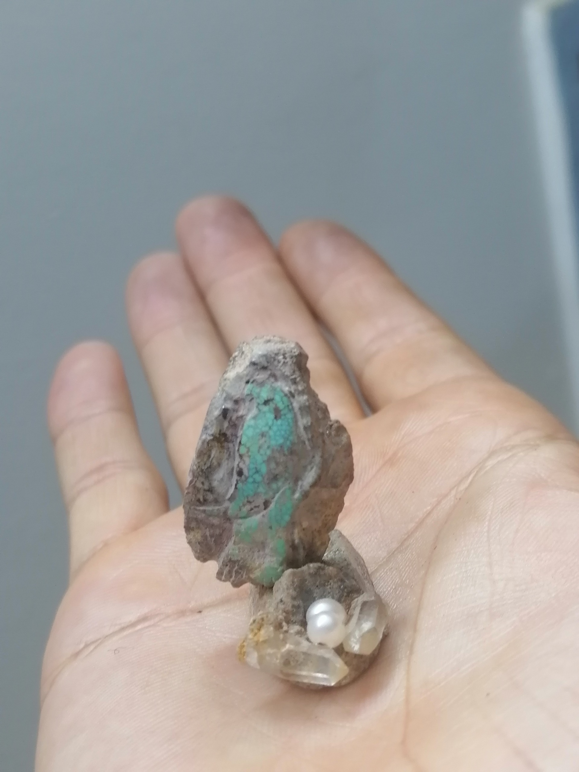 سنگ فیروزه با طرح پرنده