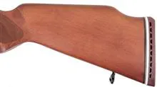 تفنگ