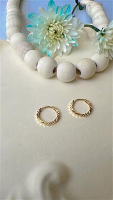 گوشوارهای