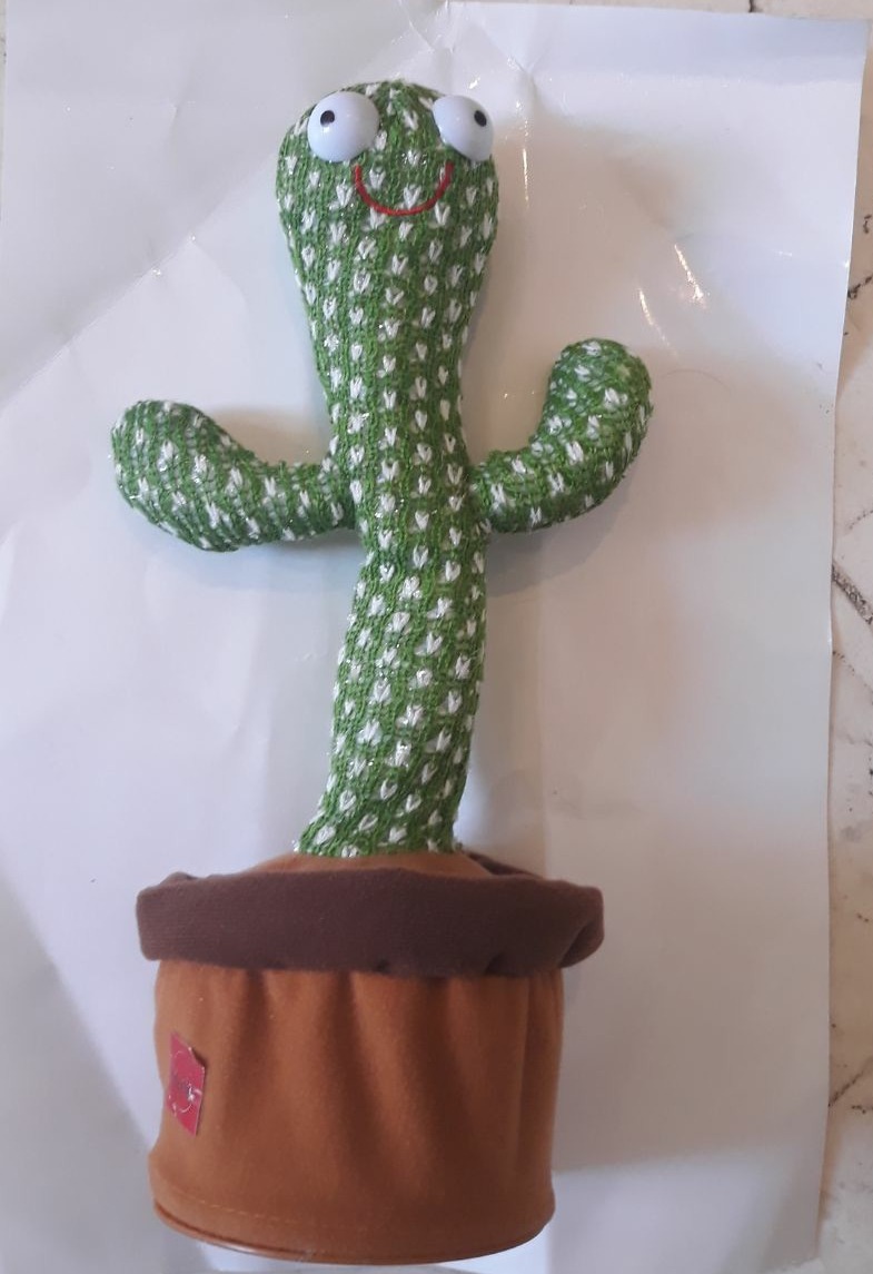 کاکتوس سخنگو و رقصنده