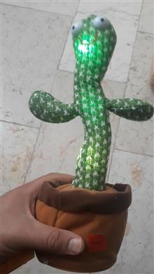 کاکتوس