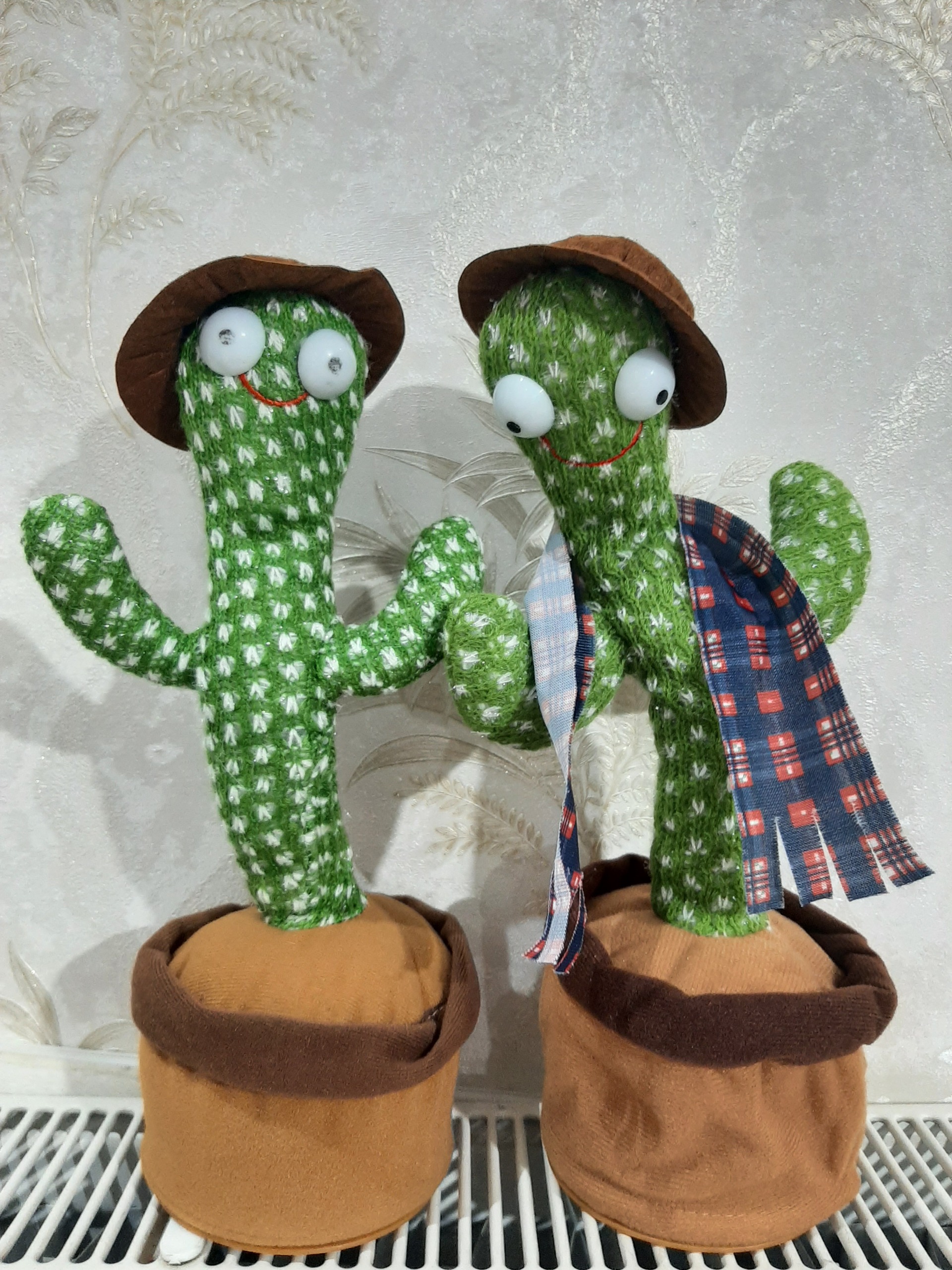 کاکتوس سخنگوی رقصنده