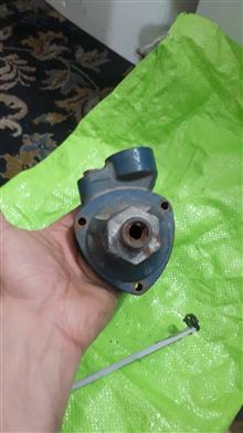 کله