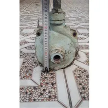 کلگی
