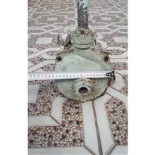 کلگی