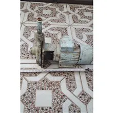 کلگی