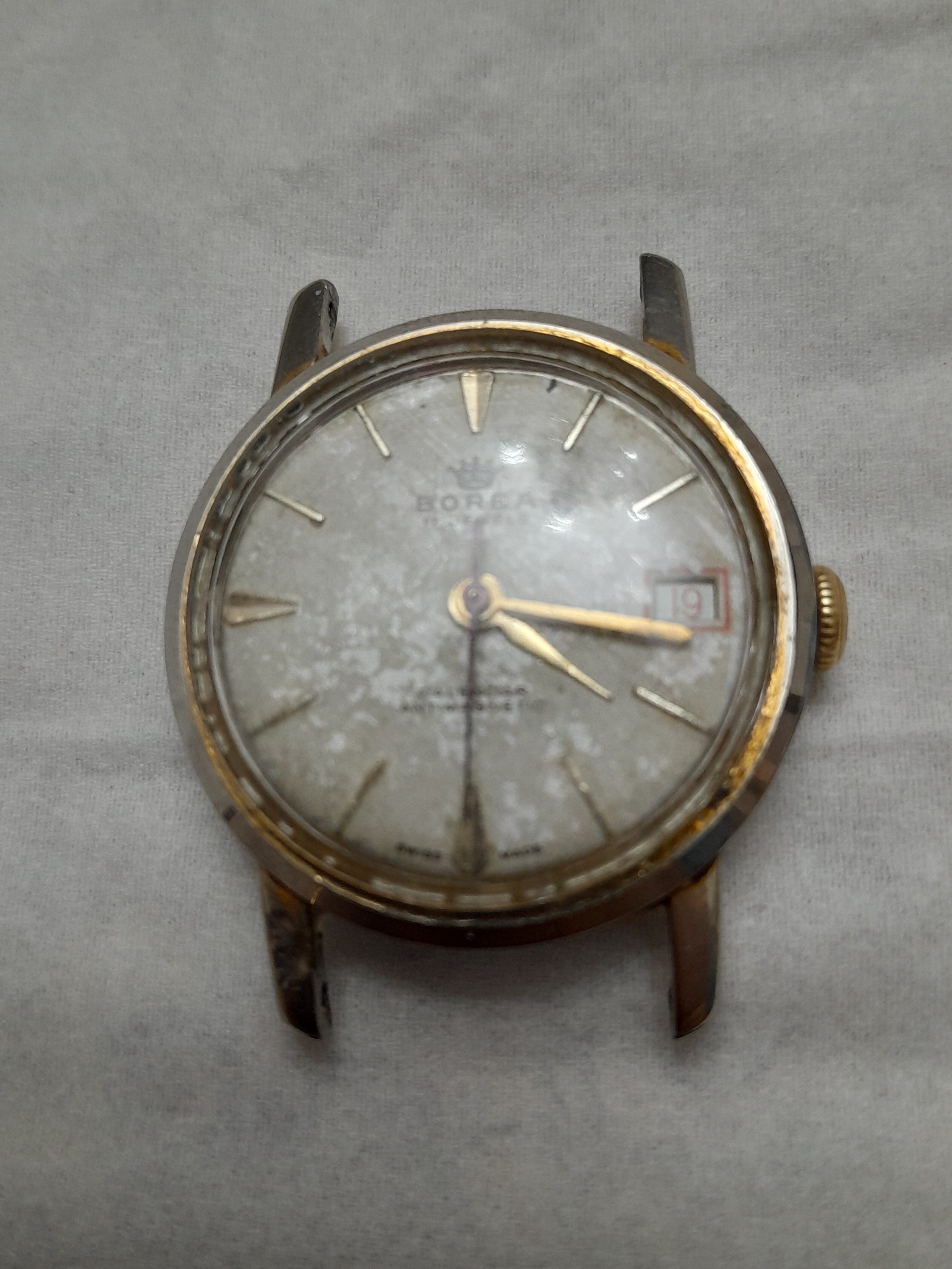 بورا کوکی و اصلی سوئیس