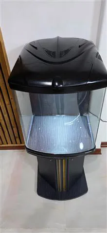 زیباترین